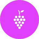 fruta icon