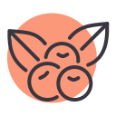 baga 