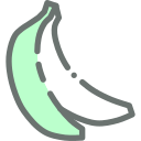 fruit icon