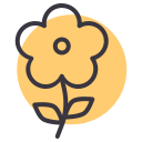 꽃 