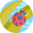 mariquita icon