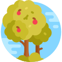 árbol de manzana icon