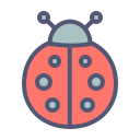 insecte 