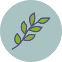 naturaleza icon