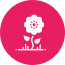 verano icon
