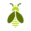inseto 