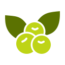 baga 