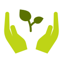 Растение icon