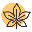 naturaleza icon