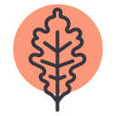 naturaleza icon