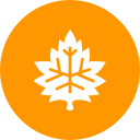 naturaleza icon