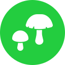 saludable icon