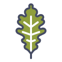 naturaleza icon