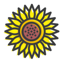 flor 