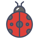 insecto icon