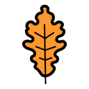 naturaleza icon