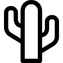 cactus icon