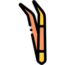 pinzette 