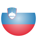 bandera icon