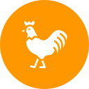 pollo icon