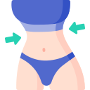 metas del cuerpo icon