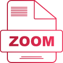 zoom icon