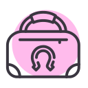 bolsa icon