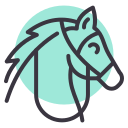 animal icon