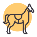 animal icon