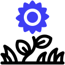 girasol icon