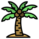 Árbol de coco icon