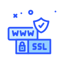 ssl icon