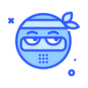 ninja icon