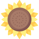 girasol