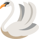 cisne