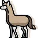 alpaca icon