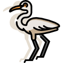 pájaro icon