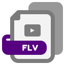 archivo flv icon