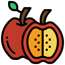 manzana icon