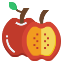 manzana icon