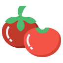 tomate icon