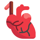 corazón icon