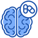 cerebro humano