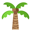 palmera