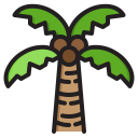 palmera