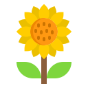 girasol icon