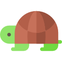 tortuga icon