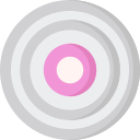 Record icon