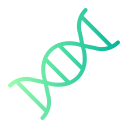 estructura del adn