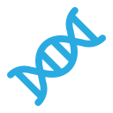 estructura del adn